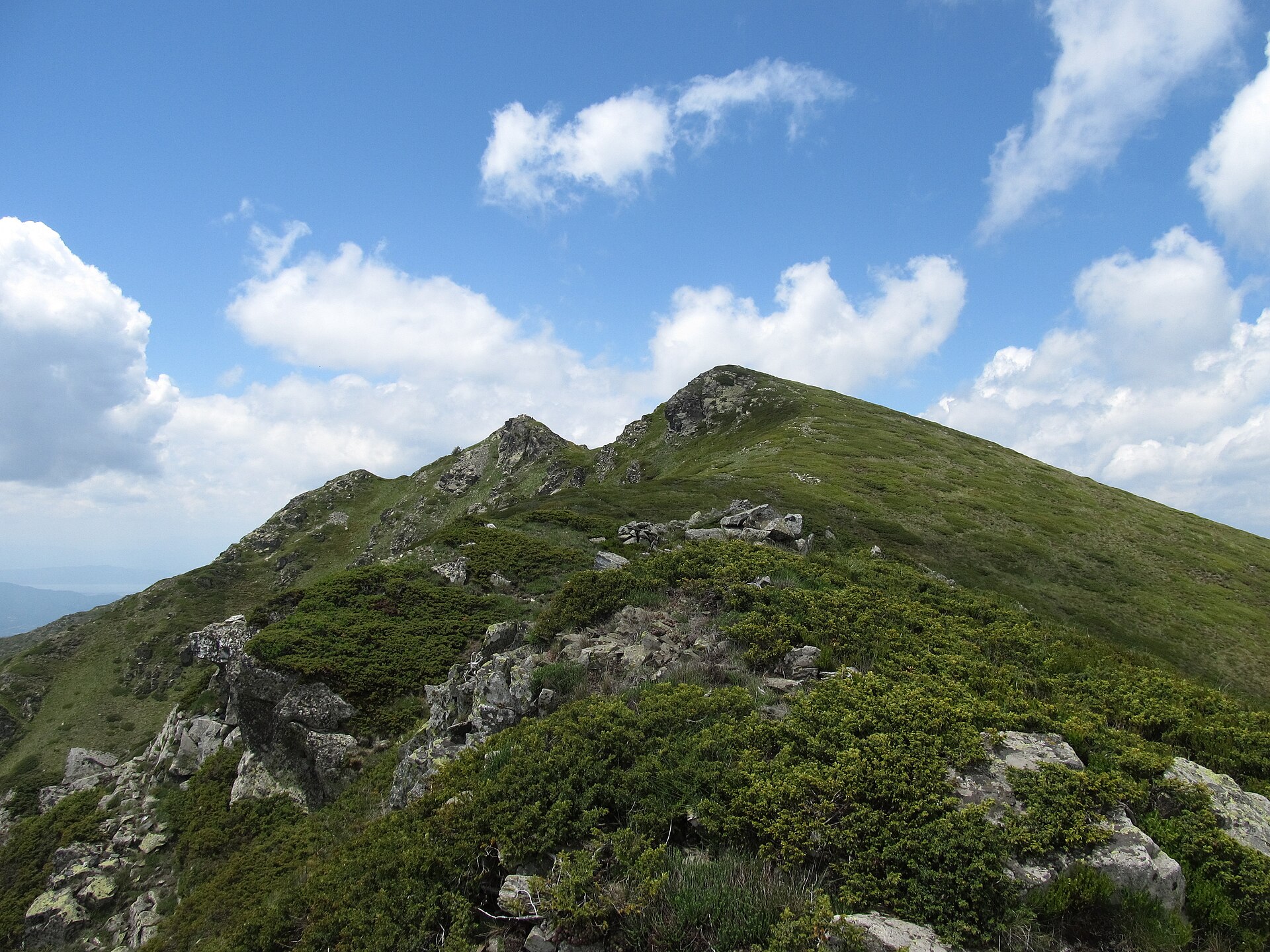 A green, rocky ridge at Punkova Skala in the Belasitsa mountains.