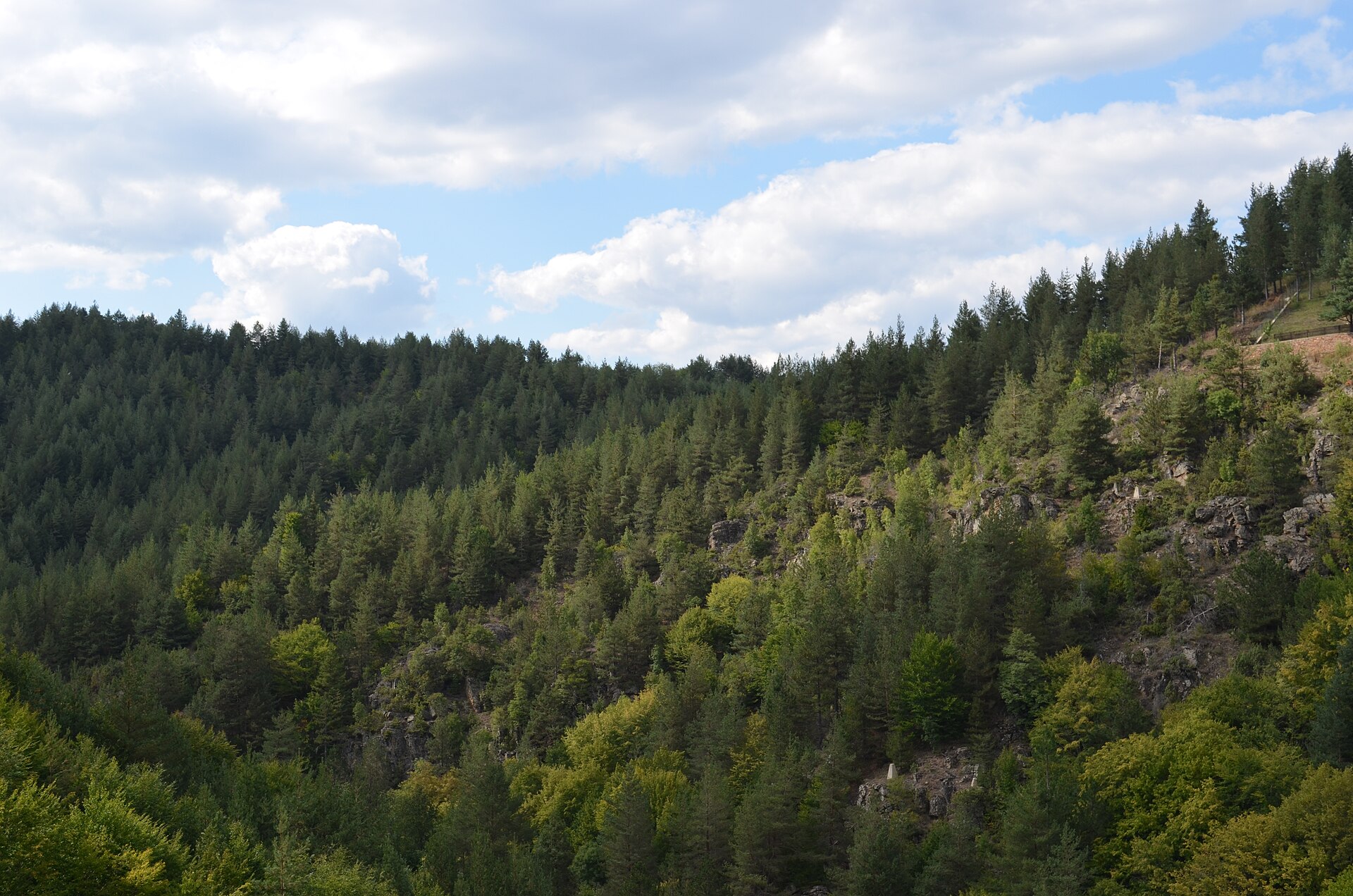 Forested hills and exposed rock near Berovo Lake.
