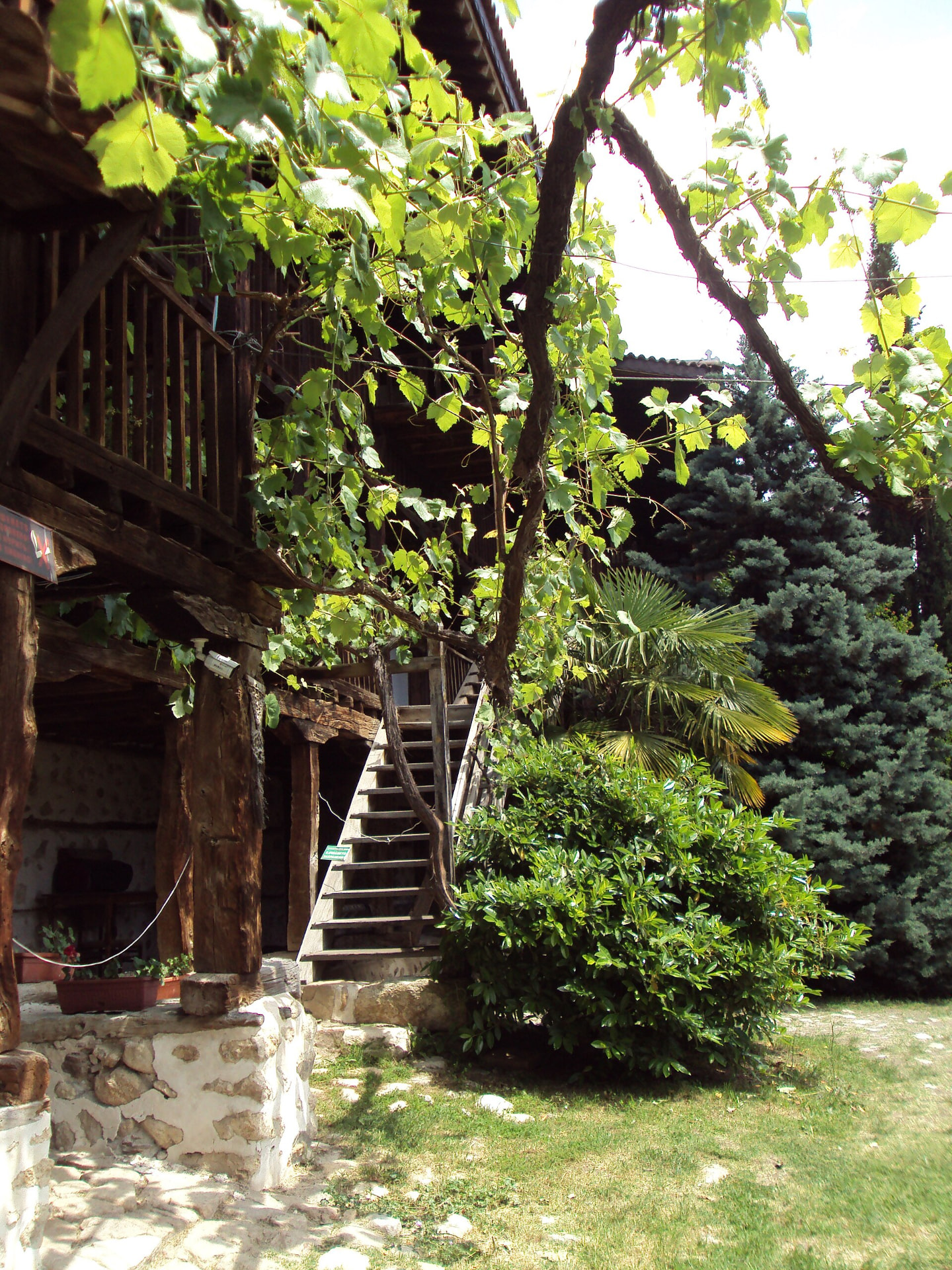 Wooden galleries, stone paving and leafy vines inside Rozhen Monastery.