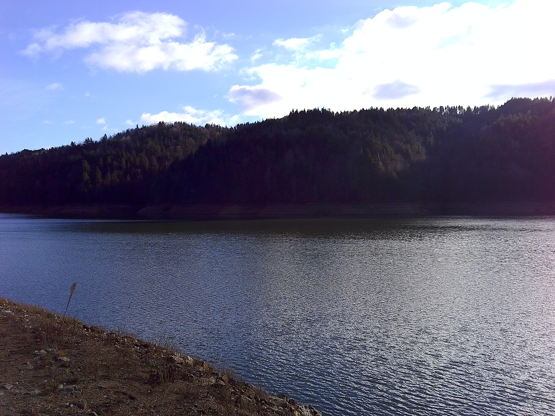 The shoreline of Berovo Lake with forest across the water.