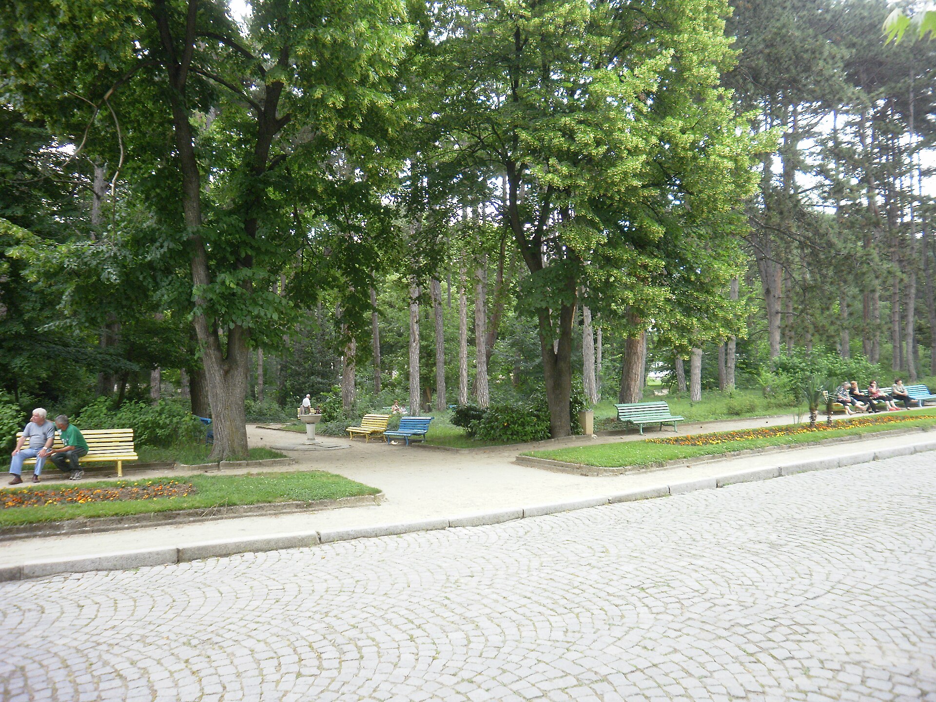 A tree-lined avenue with benches in Sveti Vrach Park, Sandanski.