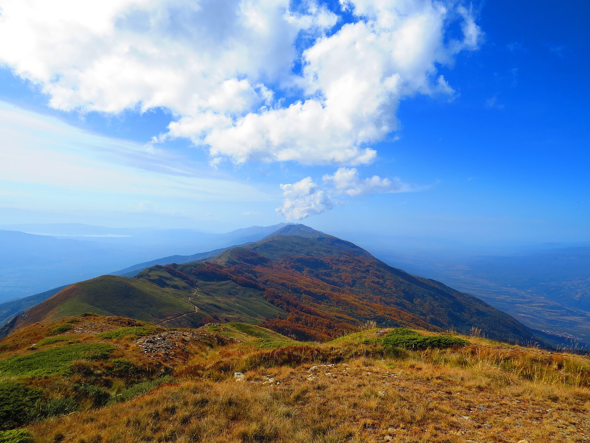 Autumn colours along a mountain ridge in Belasitsa.